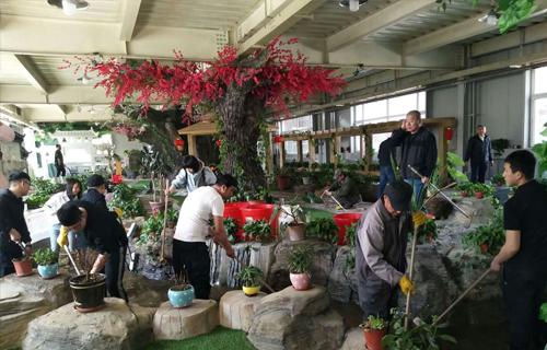 中文成人网
开展“情暖夕阳、爱老助老”志愿服务