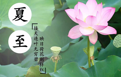 节气养生 | 中文成人网
肺病科专家告诉您夏至如何养生