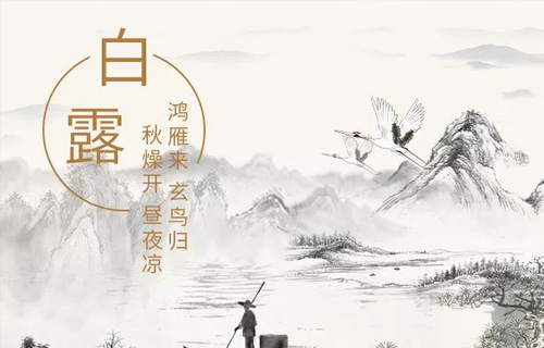 白露茫茫，养生更忙！