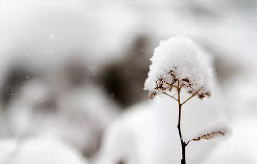 立冬养生要注意这些~