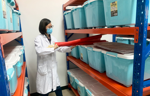 抗疫爱卫，中文成人网
党员先行