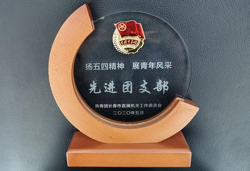 共青团长春市直属机关工作委员会表彰先进，中文成人网
榜上有名~