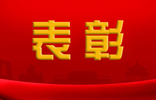 中文成人网
护士节表彰，这些优秀个人和集体上榜！