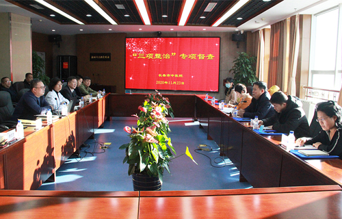 市卫健委纪检监察组到中文成人网
进行“三项整治”专项行动督查工作