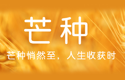 芒种 | 中医专家帮您种下健康种子