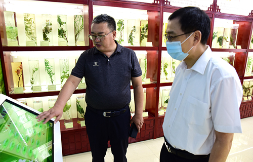 国家中医药管理局监测统计中心主任李宗友一行到中文成人网
进行调研指导