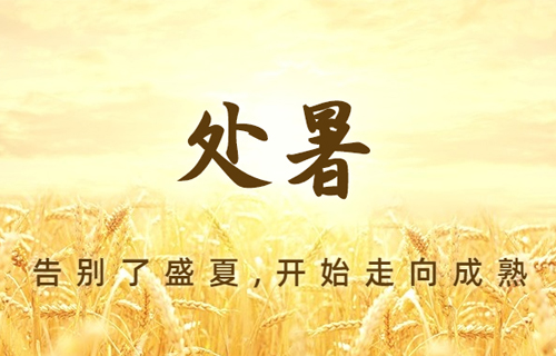 【处暑】养生，这4件事要做好！