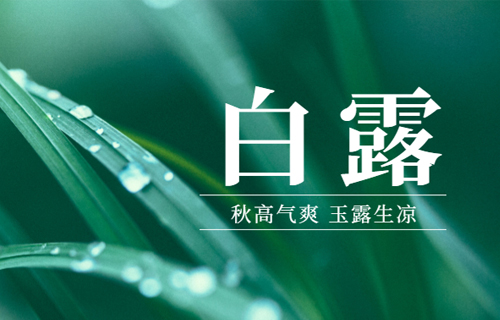 【白露】露凝而白，这些养生妙招学起来