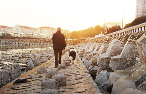老年人冬季如何进行疾病预防？