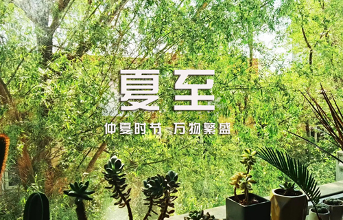 【夏至】重在养心，记住这几条最关键！