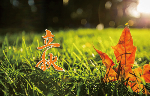 【立秋】暑去凉来，养生攻略学起来