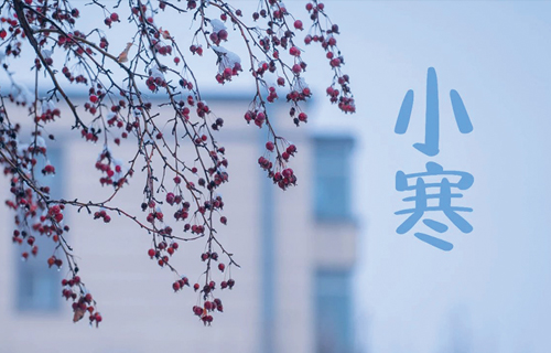【小寒】最冷的时候如何养生？中医教您这样做