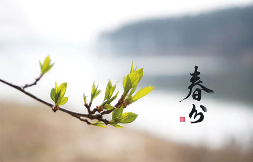 【春分】@“坐班族”，这些动作帮您守住健康