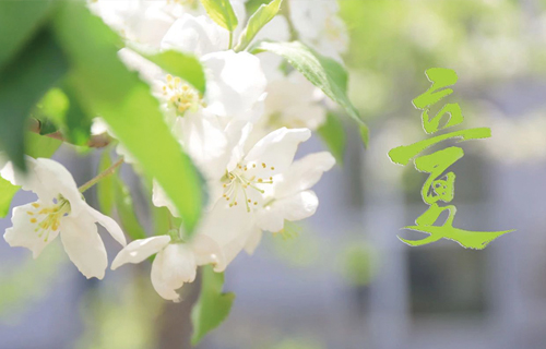 【立夏】夏之始、万物生，中医教您6种养心妙招！