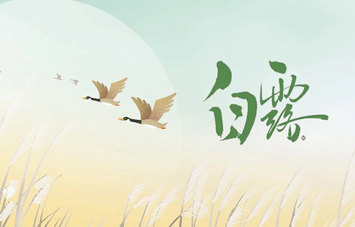 【白露】寒气生、燥气浓，养生重点要记清！