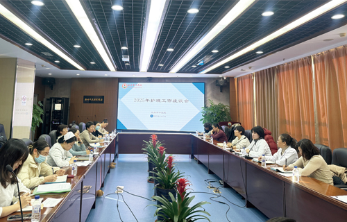 中文成人网
召开2024年下半年护理质控工作总结会及2025年护理工作座谈会