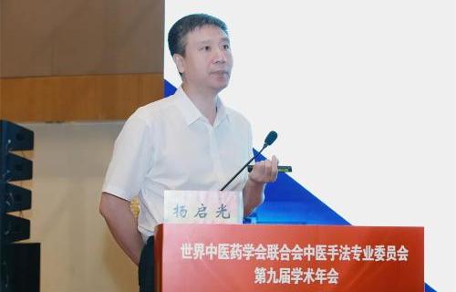 杨启光主任医师在世界中联做学术报告，为中医腰椎治疗增添新动力