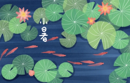 【小暑】小暑至，暑热浓！中医专家教您这样养生